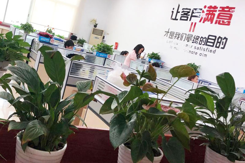 about-team Ilockey Company